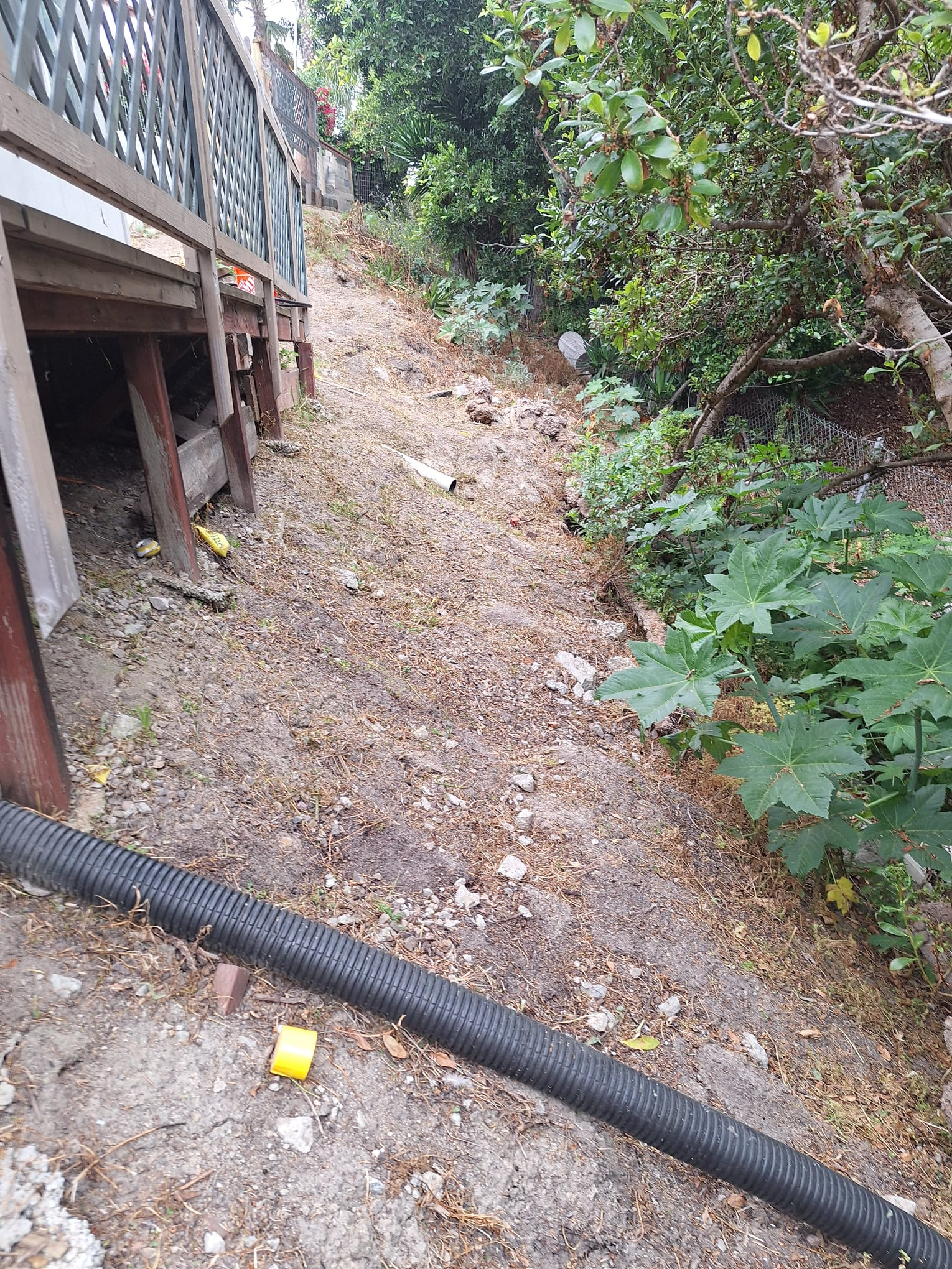 Backyard area with dirt ground and an existing wooden structure